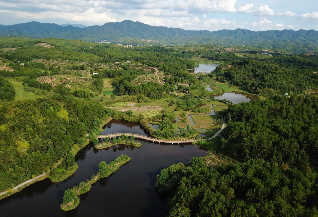 福建省龍巖市長汀縣的長汀汀江國家濕地公園景色（2020年7月28日攝，無人機照片）。新華社記者 魏培全 攝
