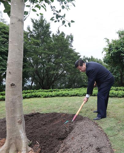 2012年12月7日至11日，習(xí)近平在廣東省考察工作。這是8日上午，習(xí)近平在深圳蓮花山公園種下一棵高山榕樹。新華社記者 蘭紅光 攝