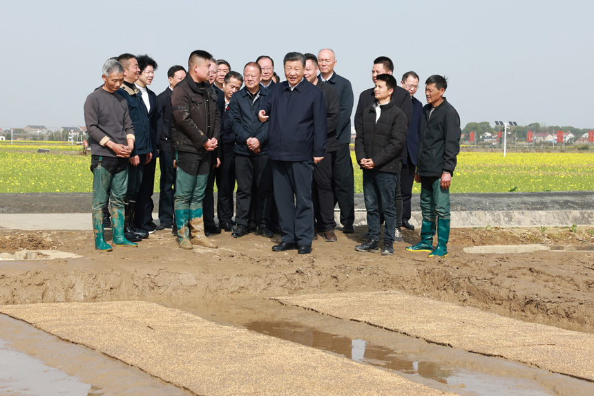 2024年3月18日至21日，中共中央總書記、國家主席、中央軍委主席習(xí)近平在湖南考察。這是19日下午，習(xí)近平在常德市鼎城區(qū)謝家鋪鎮(zhèn)港中坪村走進(jìn)田間，察看秧苗培育和春耕備耕進(jìn)展。新華社記者 王曄 攝